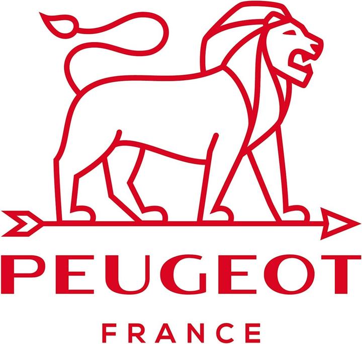 Produktbild Peugeot Paris (Salz)