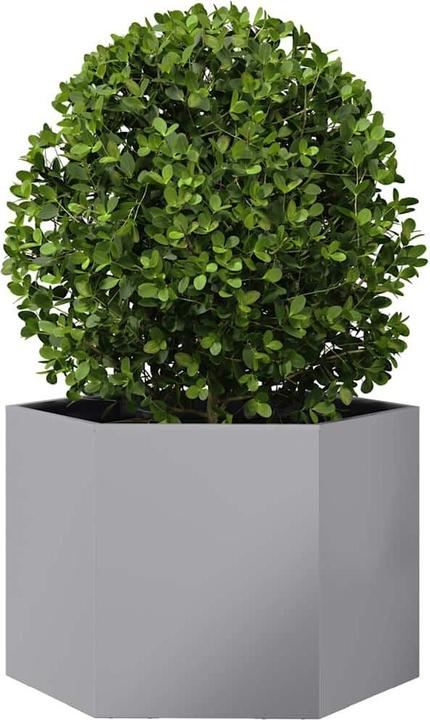 Produktbild vidaXL Pflanzkübel