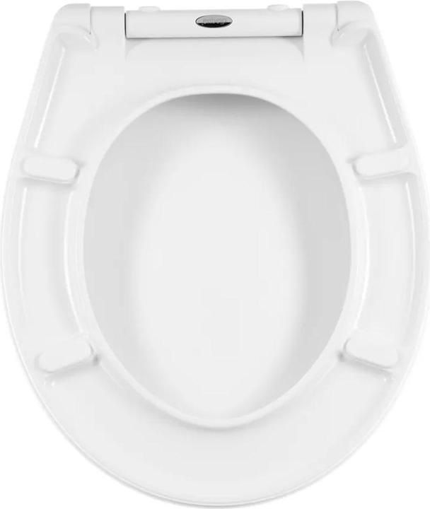 Produktbild Diaqua Nancy Lion