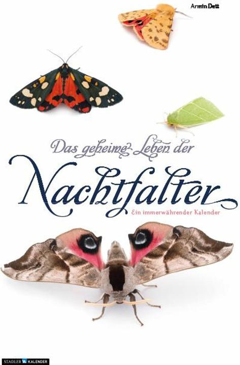 Produktbild Das geheime Leben der Nachtfalter (Armin Dett, Deutsch)