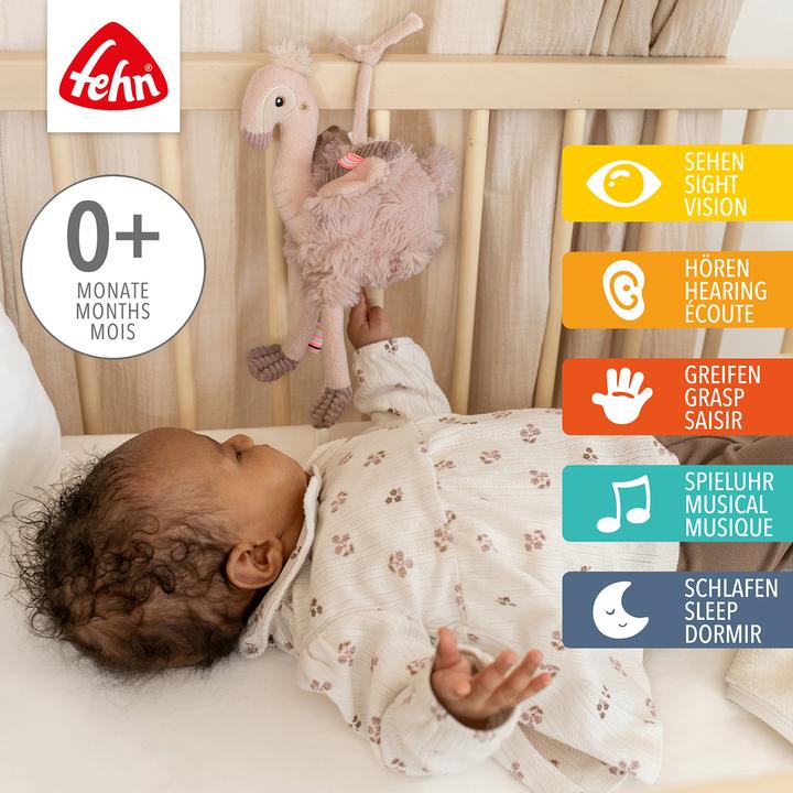 Actual product image Fehn Mini-Spieluhr Flamingo