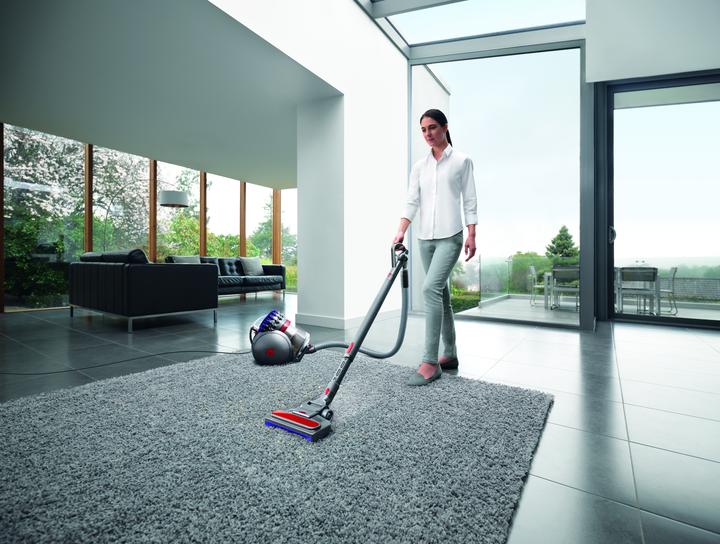 Produktbild Dyson Big Ball Parquet 2