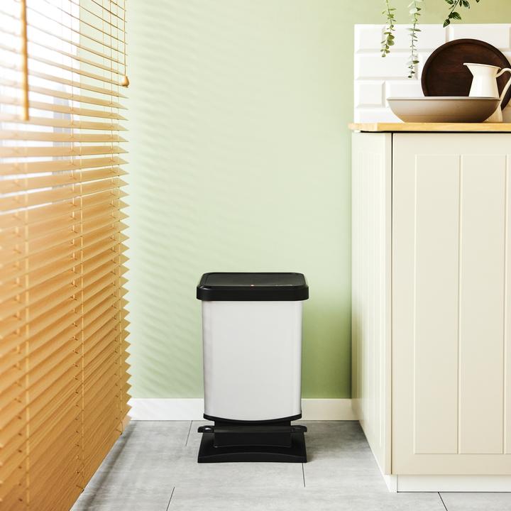 Image du produit Rotho Paso (20 l)