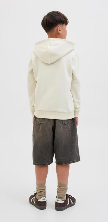 Actual product image Jack & Jones Jorskull Nature Sweat Hood Sn Jnr (176)