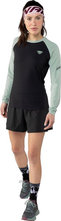 Produktbild Dynafit Alpine Pro Langarmshirt (42, XL)