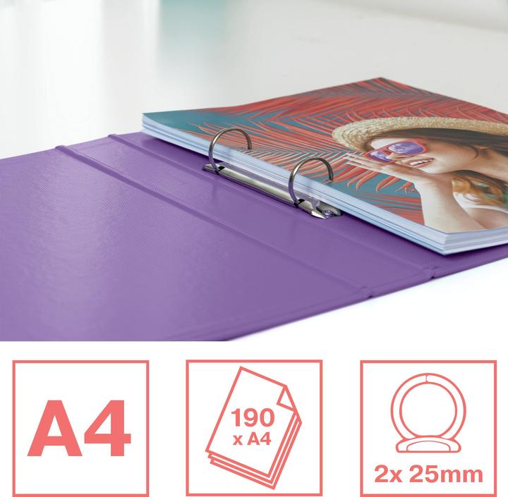 Image du produit Esselte Classeur à anneaux Colour'Breeze couverture rigide (A4, 42 mm, 1 pcs)