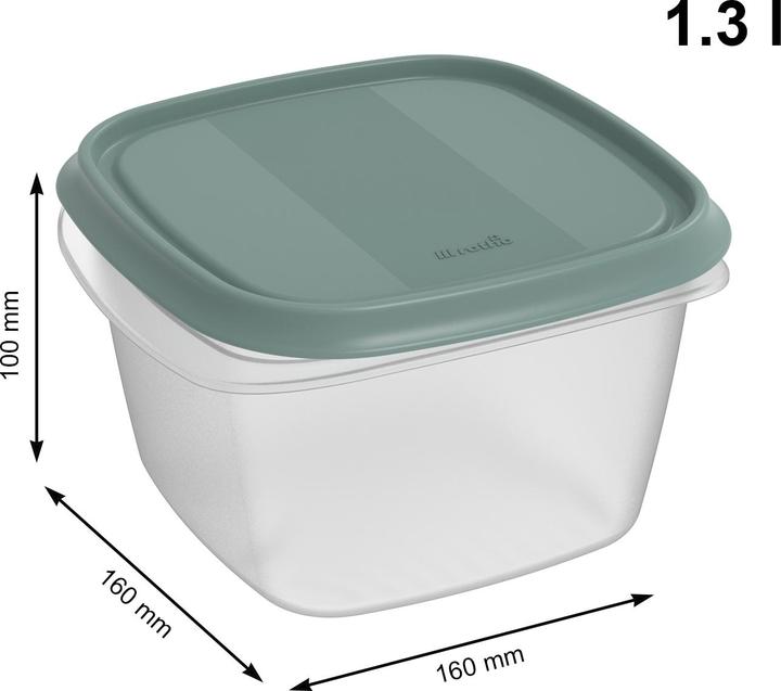 Image du produit Rotho Set de boîtes de conservation 5 pcs. ELEMENTS (1.30 l)