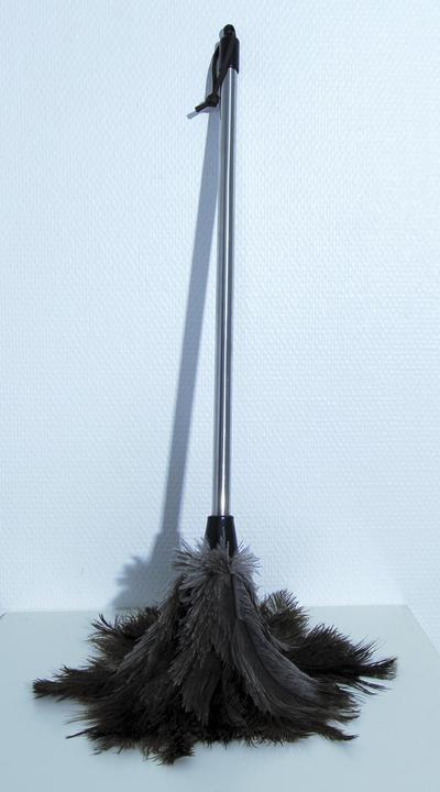 Actual product image MSV Plumeau En Plumes D'Autruche Manche Inox - Grand (1 pcs.)