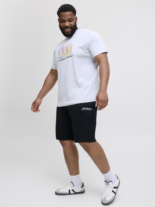 Produktbild Jack & Jones Plus Size Regular Fit Regular Fit Shorts Regular Fit Shorts (40)