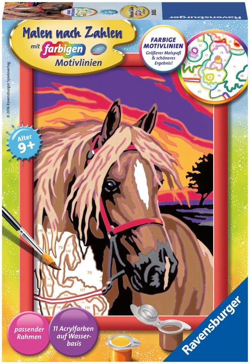 Ravensburger Rêve de cheval