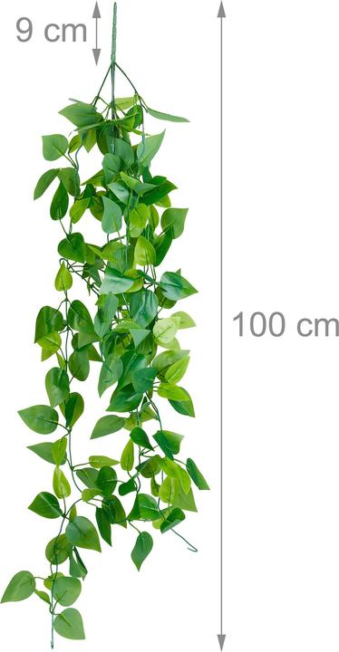 Immagine prodotto Relaxdays Efeutute (100 cm)