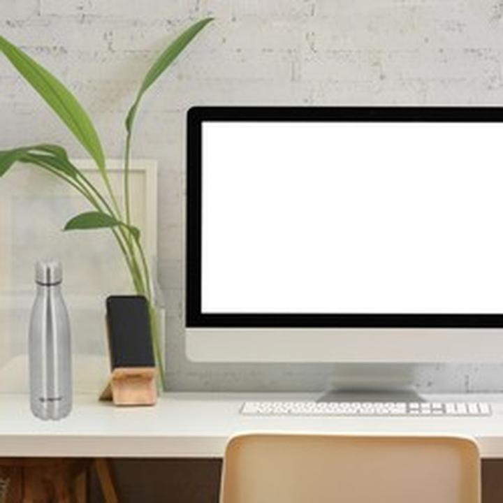 Actual product image alpina Isolating flask 470ml (0.50 l)