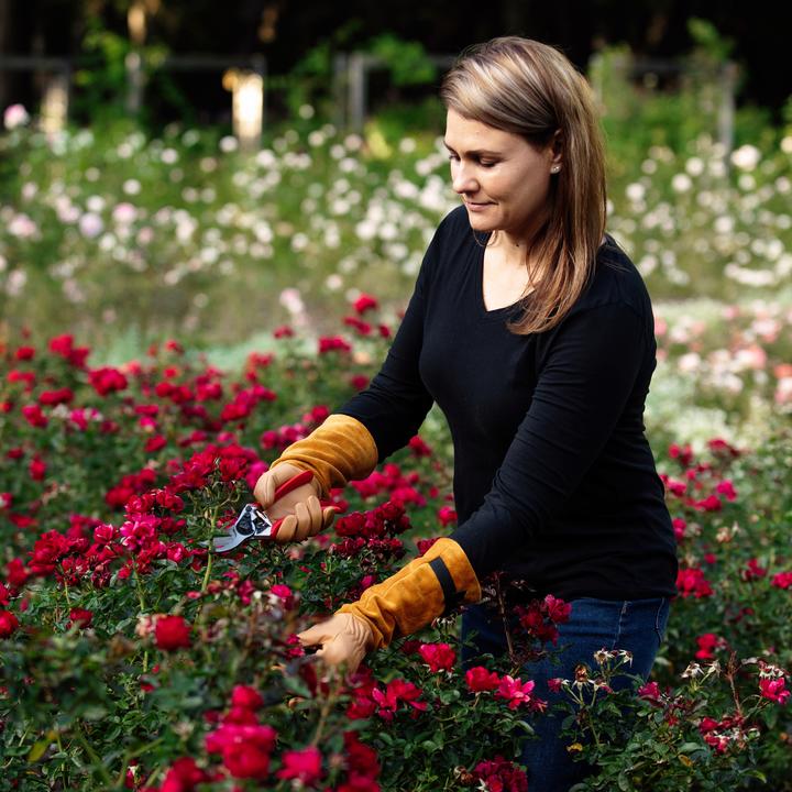 Produktbild Felco 705M Rosenhandschuhe, Grösse M (M)