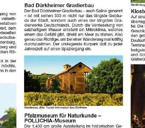 Produktbild Pfälzer Weinsteig 1 : 25 000. Wanderkarte 25000