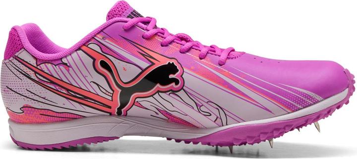 Image du produit Puma evoSPEED Haraka Sparked (44.5)