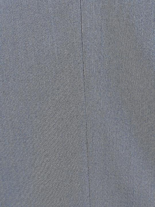 Actual product image Carl Gross Suit Pants (94)