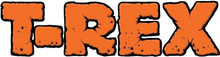 Image du produit T-Rex Mini ruban tissé 25mm x 9,1m (25 mm)