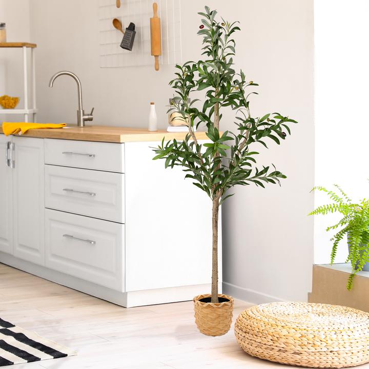 Actual product image Relaxdays Olivenbaum (90 cm)