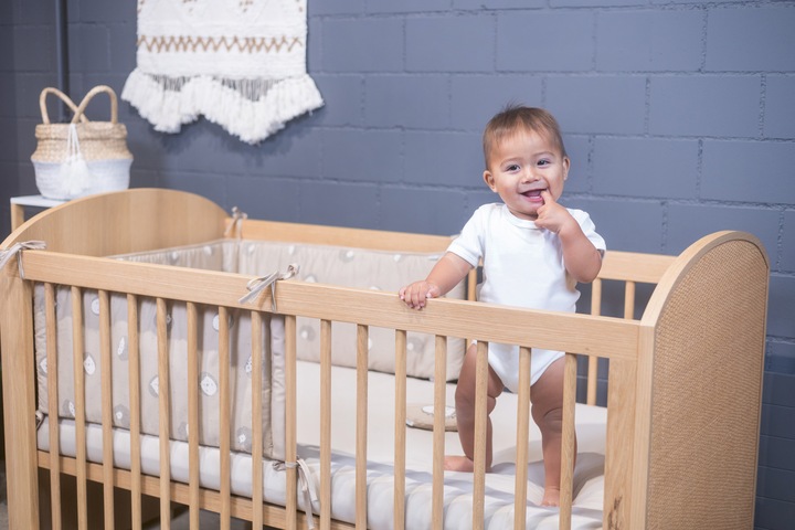 Actual product image Zewi Nest