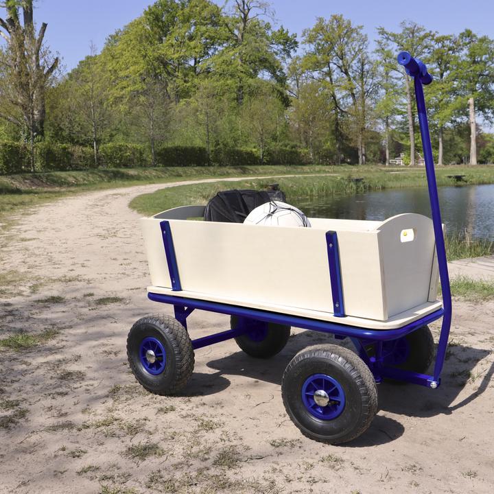 Actual product image Sunny Billy Beach Wagon