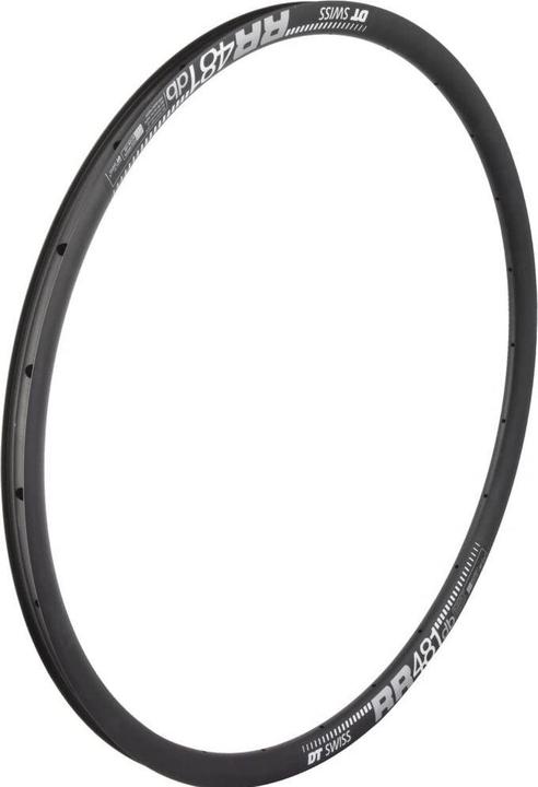 Actual product image DT Swiss RR 481 rim DB (28")