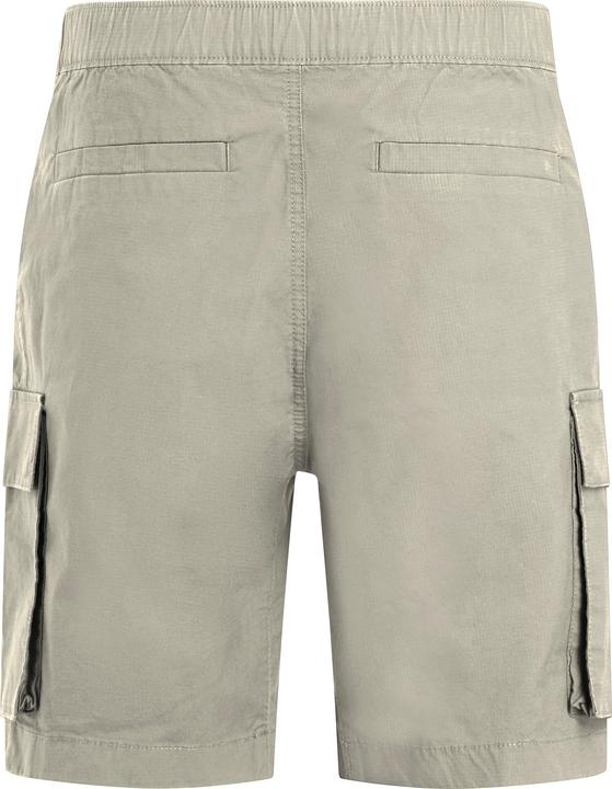 Image du produit Calvin Klein Short de Cargo (32)