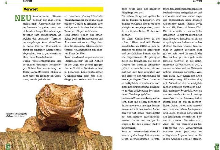 Actual product image Südlicher und Nördlicher Flechtengecko (German, Andreas Laube, Erwin Schröder, Christian Langner, 2018)