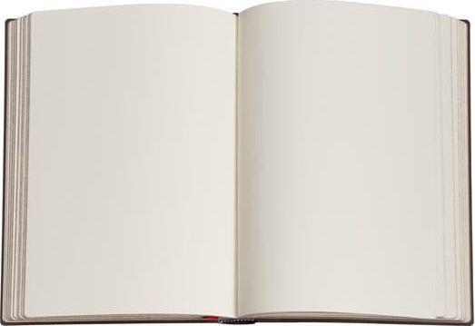 Image du produit Paperblanks Carnet de notes PB Fiammetta midi blanc (Blanc, Couverture rigide)