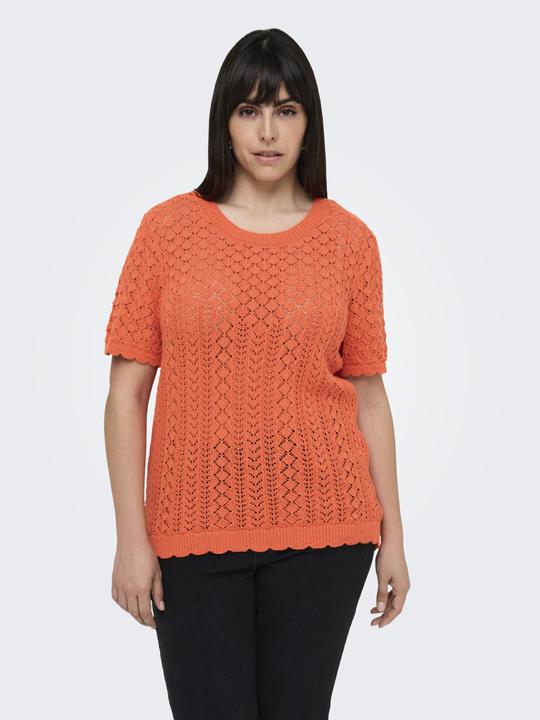 Image du produit Only CARSAGA Gestricktes Oberteil Gestricktes Oberteil (S)