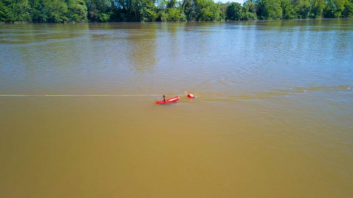 Immagine prodotto Uni Cat Magic Planer 300 (31.30 cm)