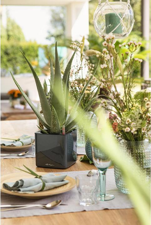 Produktbild Lechuza Cube Glossy 14 (14 x 14 x 14 cm)