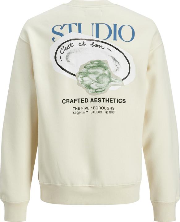 Actual product image Jack & Jones Printed Sweatshirt For Boys Sweatshirt (164)