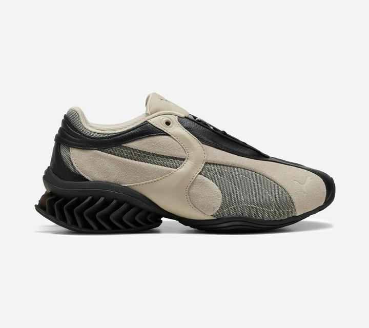 PUMA Black-Birch Tree