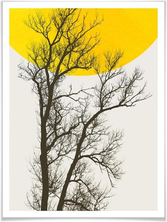 Immagine prodotto Trenddeko Ricordi d'autunno (30 x 40 cm)