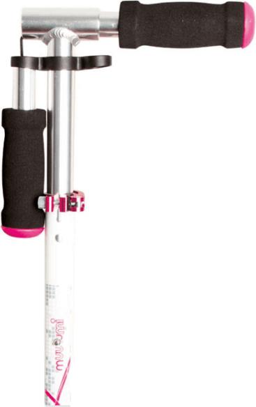 Actual product image Muuwmi Kickboard