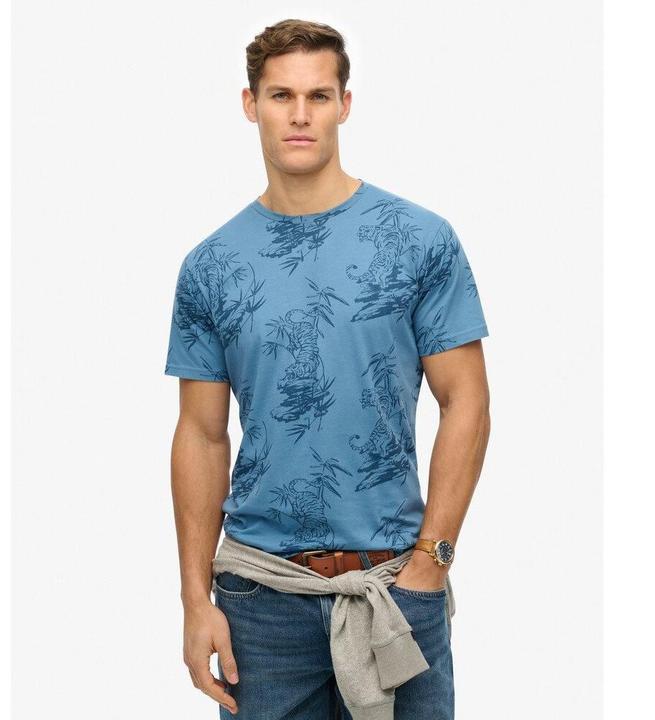 Actual product image Superdry Classic Ess Rlxd Printed Tee (M)