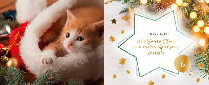 Image du produit Histoires de chats