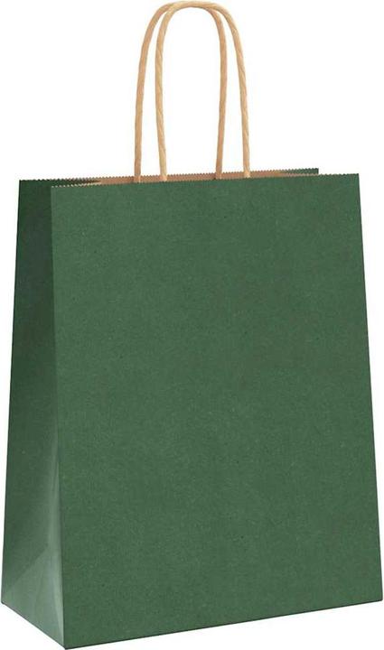 Image du produit VidaXL Sacs en papier kraft 250 pcs. avec anse Vert 18x8x22 cm Sac en papier (Pochette cadeau, 250 x)
