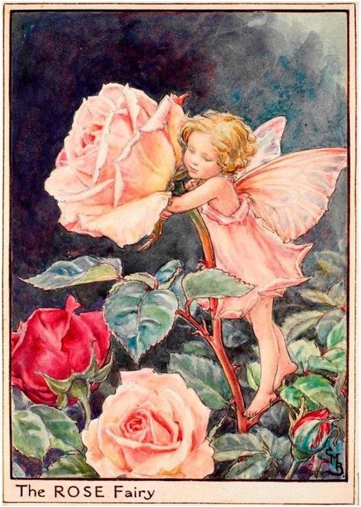 Image du produit Reutter 075.389/6 - M.W. - Étagère à assiettes murale "Flower Fairies" à l'échelle 1:12