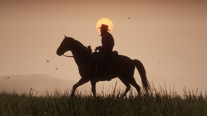 Actual product image Microsoft Red Dead Redemption 2 (Xbox One) (Xbox One S, EN)