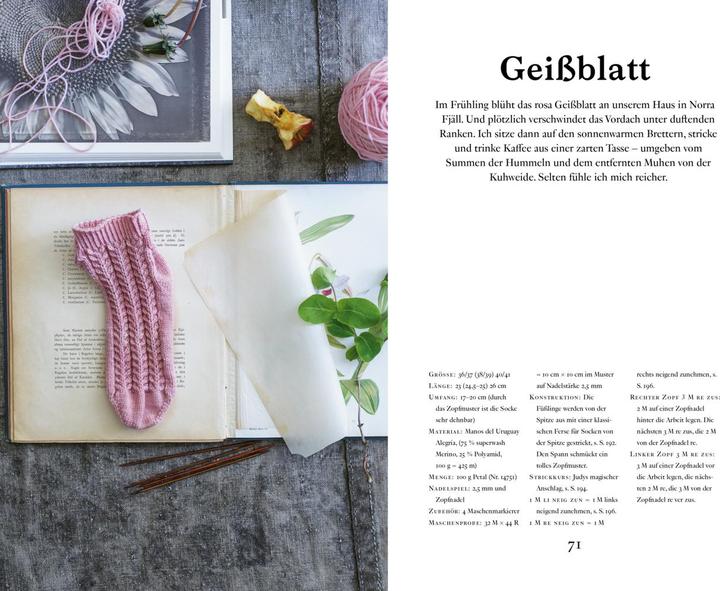 Produktbild Schwedische Socken stricken (Deutsch, Maja Karlsson, 2023)