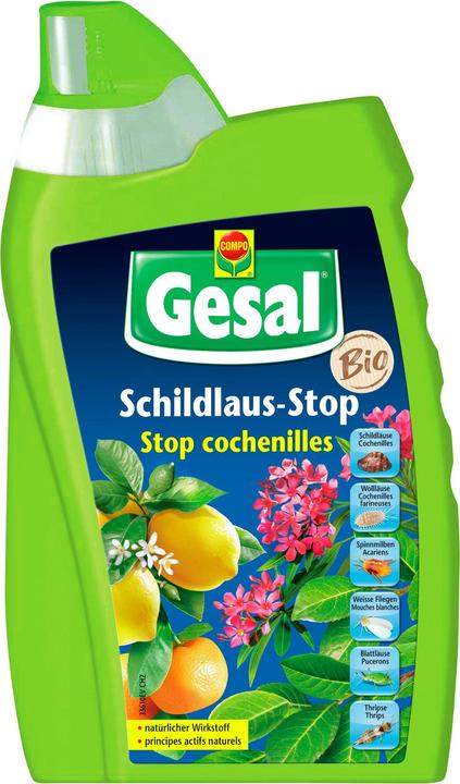 Immagine prodotto Gesal Stop alle cocciniglie (Afidi, Bianco mosche, Acari del ragno rosso)