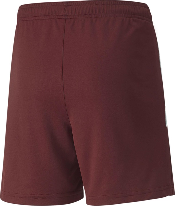 Actual product image Puma teamLIGA Shorts Jr-704931 (152)