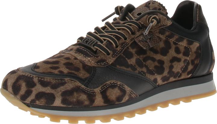 Leopardo-Sander