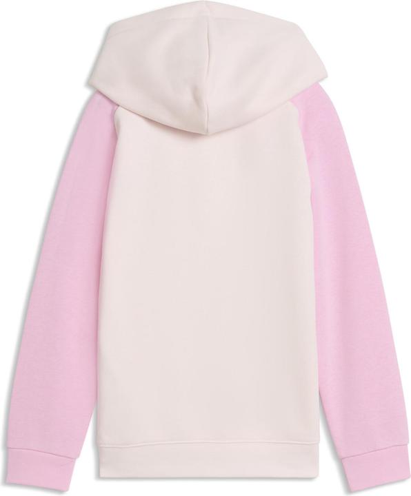 Produktbild Puma SUPER Hoodie TR PS (110)