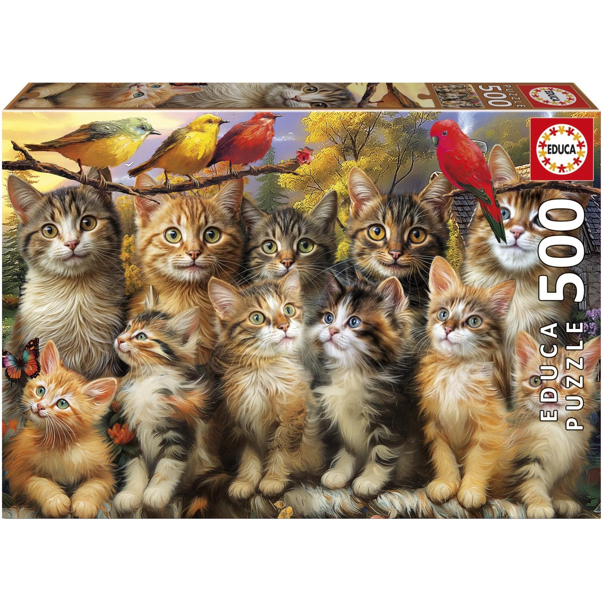 Educa Puzzle Katzen und Katzen 500 Puppen (500 Teile) (62210307)