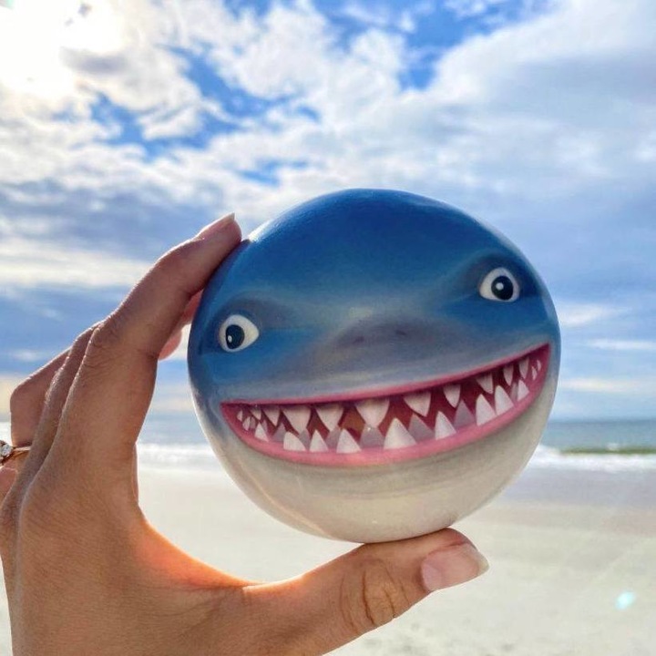 Actual product image Waboba Sharky Shark