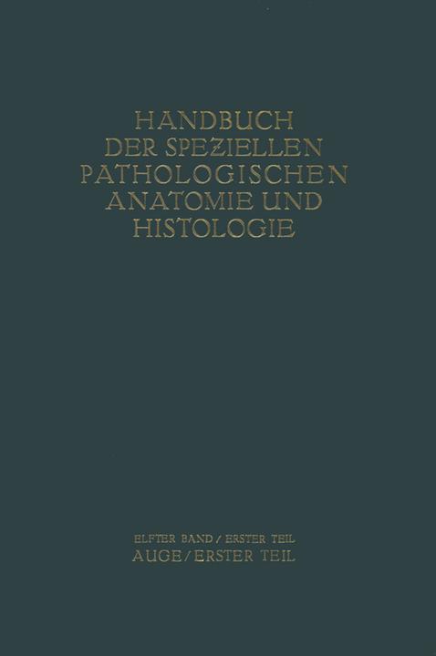 Produktbild Auge (Deutsch, A. Elschnig, A. Peters, A. v. Aily, E Seidel, E. Hertel, E. v. Hippel, F. Schieck, G. Abelsdorff, K. Wessely, R. Greeff, R. Kümmell, S. Ginsberg, W. Löhlein, 2012)