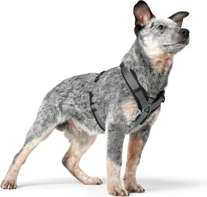 Produktbild Hunter Hundegeschirr Maldon Up (S, M, Hund, Hundesport)