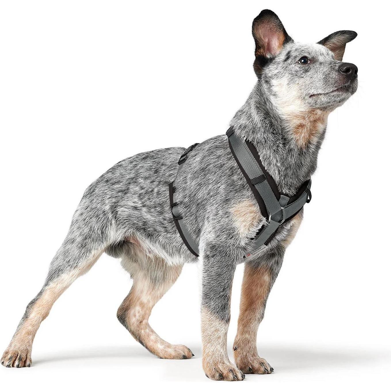 Harnais pour Chien Hunter Maldon Up Gris 66-118 cm